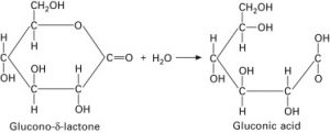 Glucono-δ-lactone hydrolyzes in water