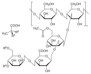 xanthan gum chemical structure
