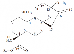 steviol chemical structure